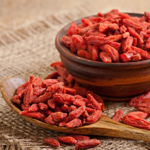 Fabricante de suministro de bayas de goji con bajo precio /